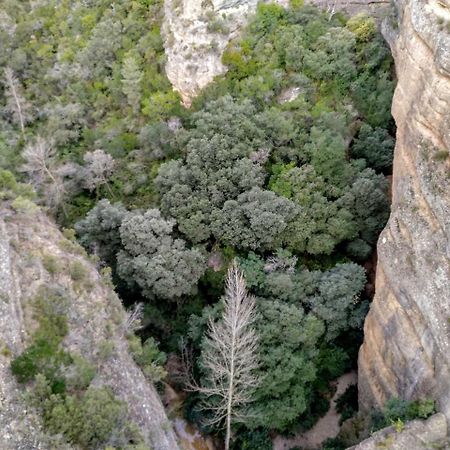 Hostal-Restaurante La Choca Lecina Εξωτερικό φωτογραφία